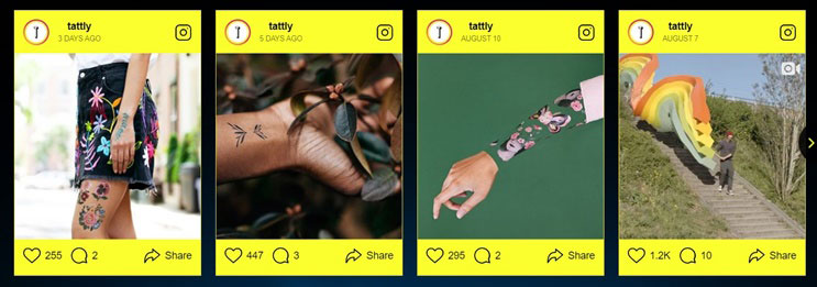 instagram paylaşımlarını sitede galeri olarak gösterme